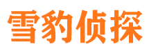 凉山外遇出轨调查取证